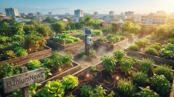 Foto drone sinematik kebun urban dengan sensor ESP32, panel surya